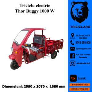 Triciclu electric Thor BUGGY 1000W 48V32Ah