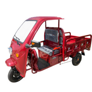 Triciclu electric Thor BUGGY 1000W 48V32Ah- FARA PERMIS