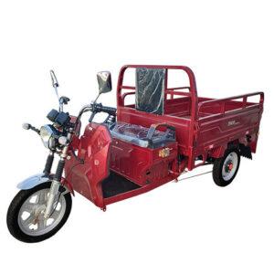 Triciclu electric Thor PREMIUM 1200W 60V45Ah- CU PERMIS