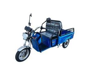 Triciclu electric 650W Thor CITY ECO blue sky fara permis 48V20Ah 25km/h