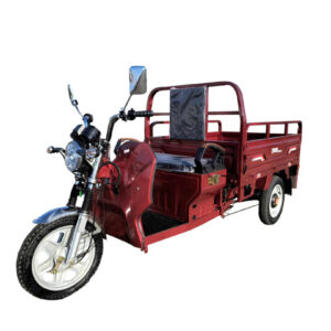 Triciclu electric 1200W Thor STAR visiniu fara permis 60V45Ah 25km/h cu CIV inclus