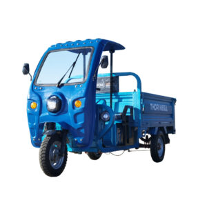 Triciclu electric 1500W Thor MEGA Plus fara permis 60V58Ah 25km/h