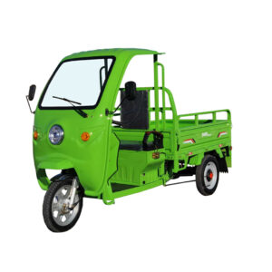 Triciclu electric 1200W Thor STAR Plus verde fara permis 60V45Ah 25km/h cu CIV inclus