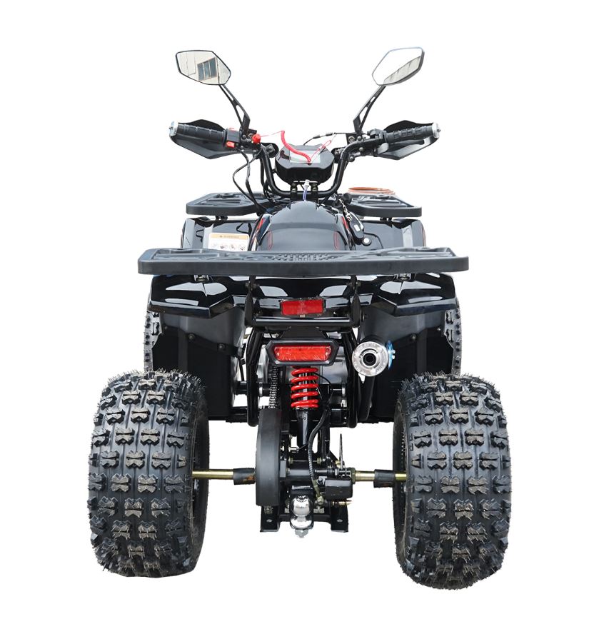 ATV 120cc 7 CP 4x2 cu pornire electrica HUNTER II - imagine 6