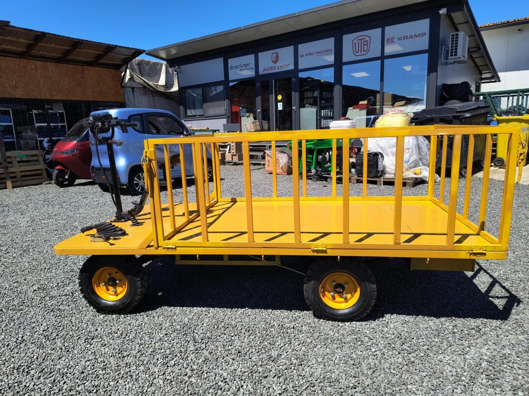 Carucior platforma electrica transport marfa 1.25x2.5 m 800W - imagine 10