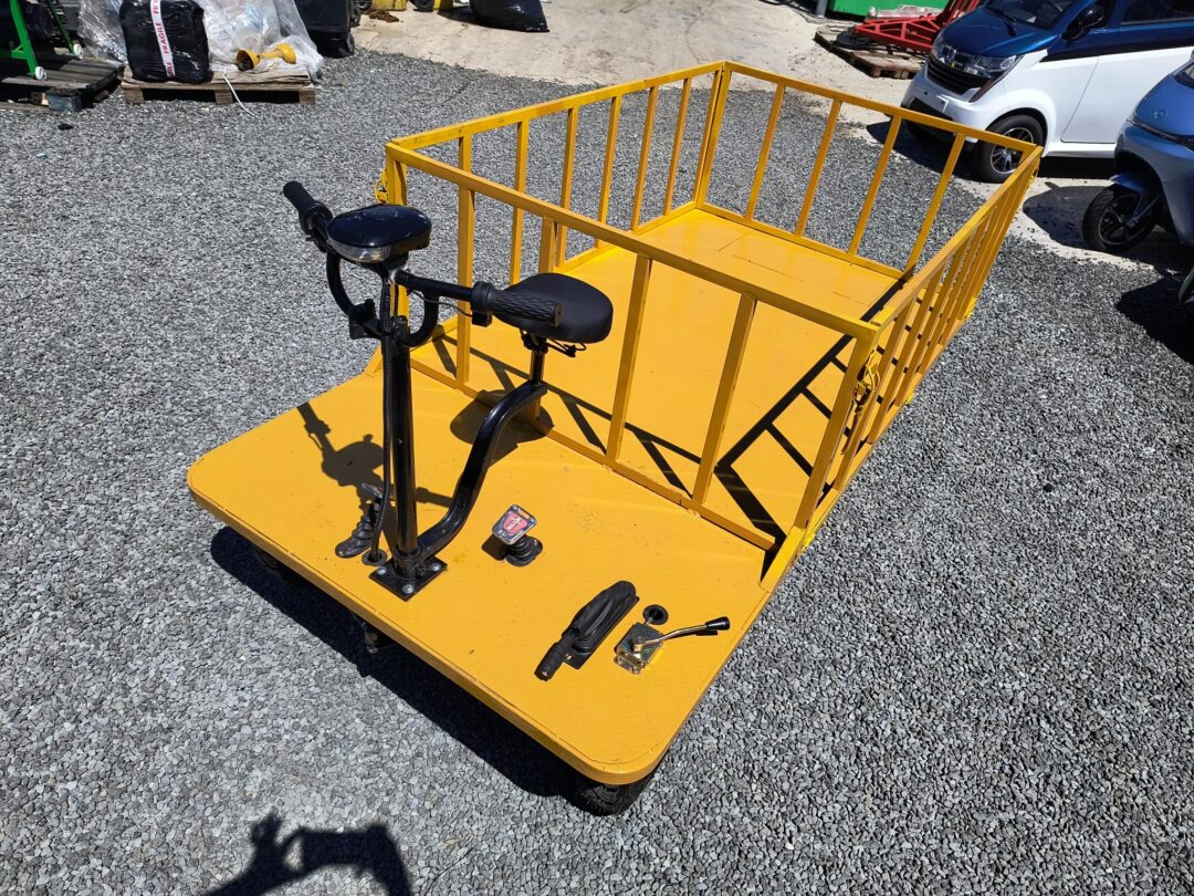 Carucior platforma electrica transport marfa 1.25x2.5 m 800W - imagine 6