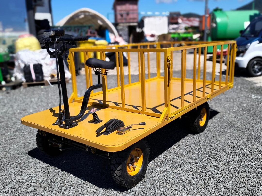Carucior platforma electrica transport marfa 1.25x2.5 m 800W - imagine 7