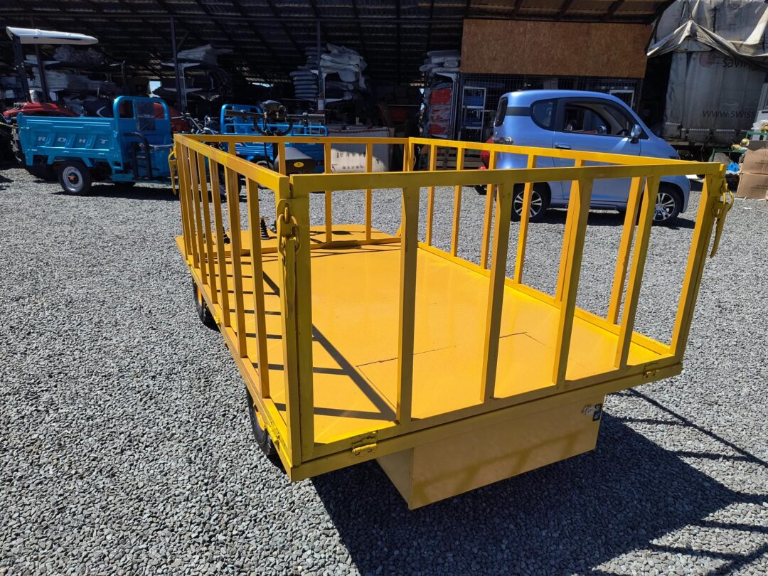 Carucior platforma electrica transport marfa 1.25x2.5 m 800W - imagine 9