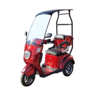 Triciclu electric 800W Thor ECO ZONE visiniu fara permis 60V20Ah 25km/h