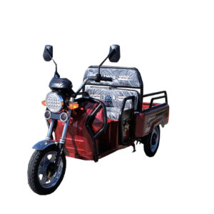 Triciclu electric 650W Thor CITY ECO visiniu fara permis 48V20Ah 25km/h