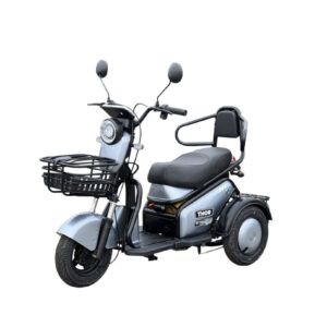 Triciclu electric 600W Thor TRIXY fara permis 48V20Ah 25km/h