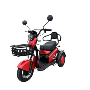Triciclu electric 600W Thor TRIXY fara permis 48V20Ah 25km/h