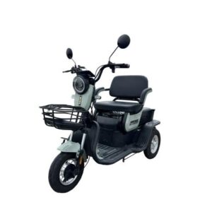 Triciclu electric 650W THOR SUPER XL2 verde fara permis 48V20Ah 25km/h
