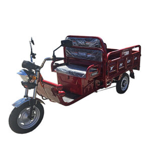 Triciclu electric 1000W Thor CITY ECO2 rosu fara permis 60V20Ah 25km/h